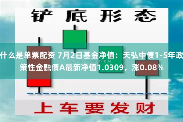 什么是单票配资 7月2日基金净值：天弘中债1-5年政策性金融债A最新净值1.0309，涨0.08%