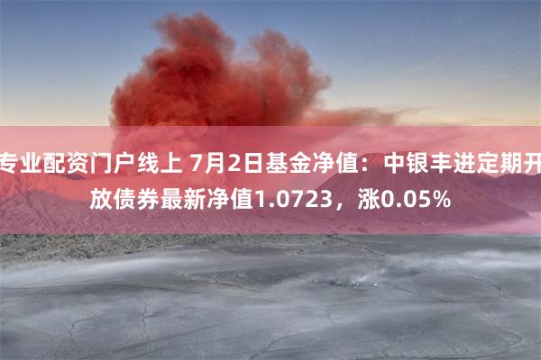 专业配资门户线上 7月2日基金净值：中银丰进定期开放债券最新净值1.0723，涨0.05%