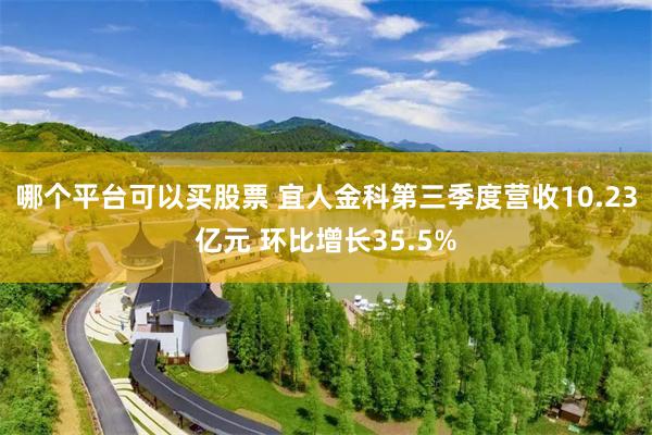 哪个平台可以买股票 宜人金科第三季度营收10.23亿元 环比增长35.5%