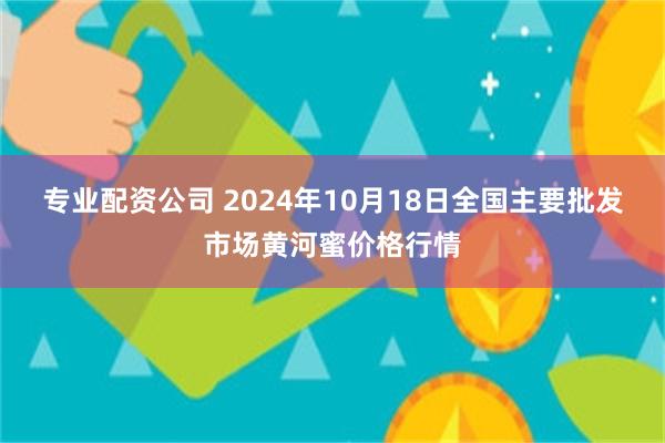 专业配资公司 2024年10月18日全国主要批发市场黄河蜜价格行情