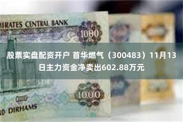 股票实盘配资开户 首华燃气（300483）11月13日主力资金净卖出602.88万元