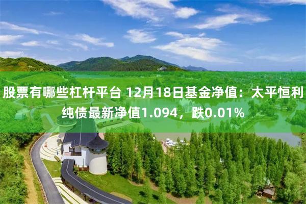 股票有哪些杠杆平台 12月18日基金净值：太平恒利纯债最新净值1.094，跌0.01%