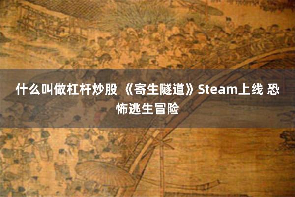 什么叫做杠杆炒股 《寄生隧道》Steam上线 恐怖逃生冒险