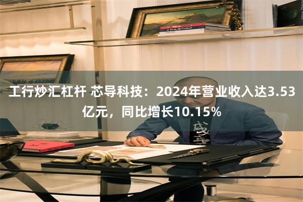 工行炒汇杠杆 芯导科技：2024年营业收入达3.53亿元，同比增长10.15%